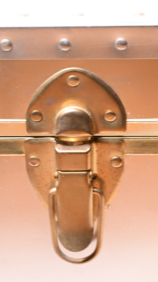 Biltmore Metal Covered Trunk